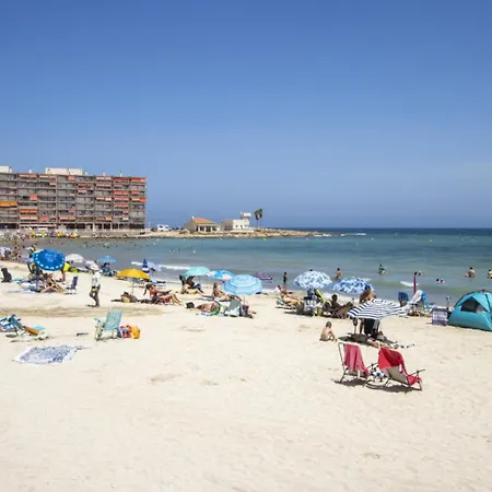 Canovas Id185 Torrevieja